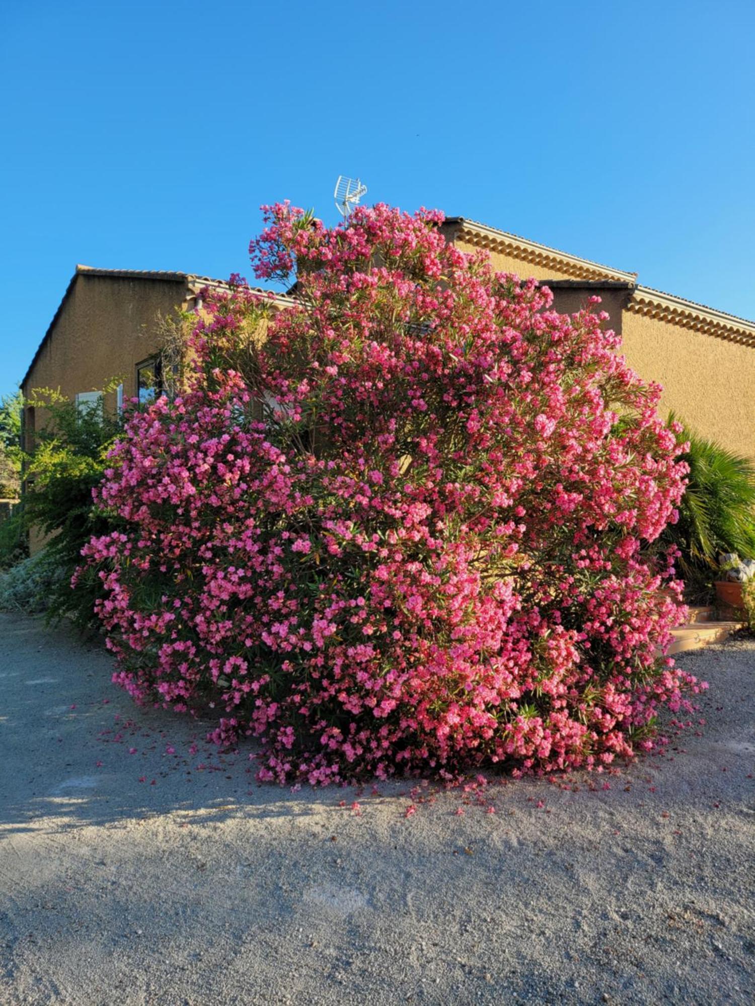 Family First Villa Gargas  Exterior photo