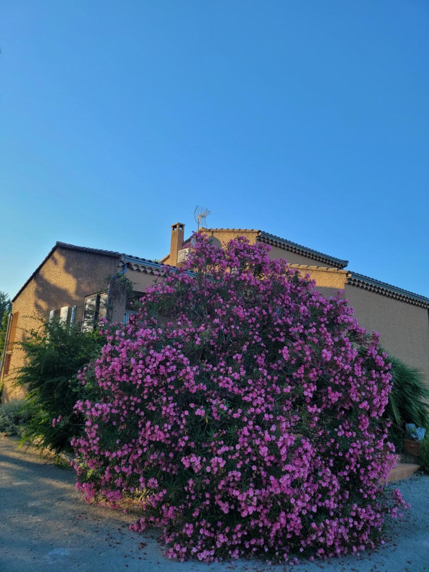 Family First Villa Gargas  Exterior photo